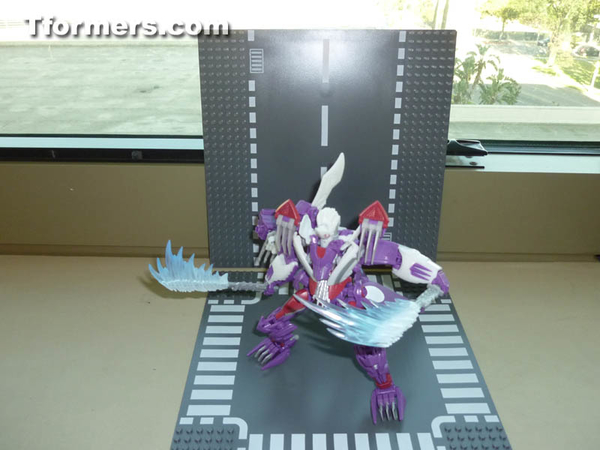 Botcon 2014 Knight 3 Pack Attendee Set  (9 of 82)